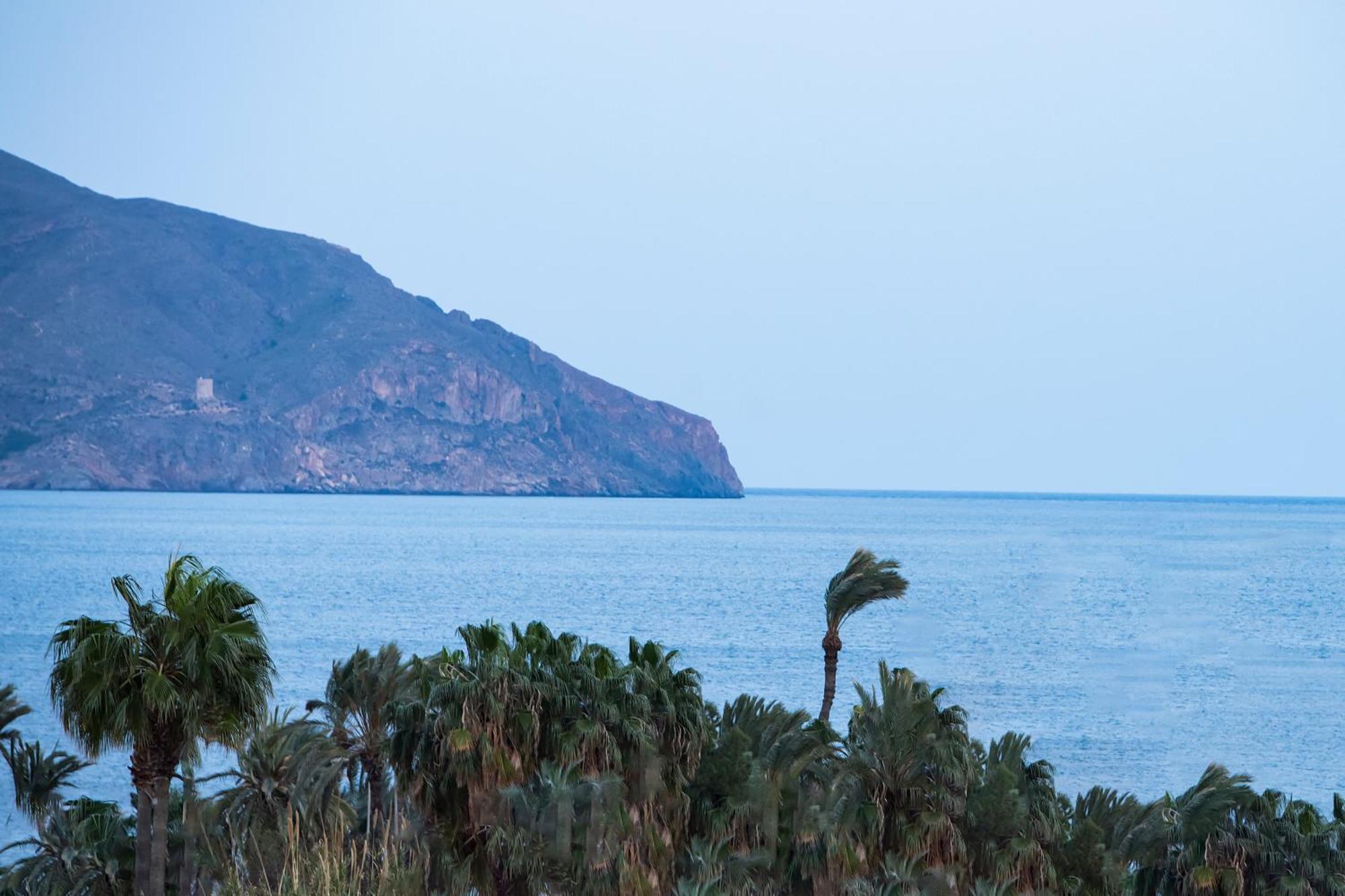 La Casa De Maravillas * El Puerto de Mazarrón